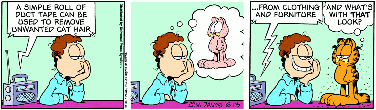 Garfield, August 13, 2007