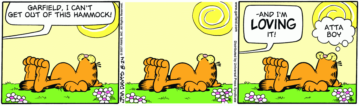 Garfield, August 24, 2007