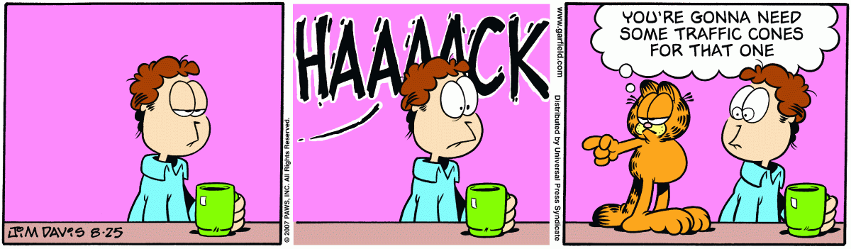 Garfield, August 25, 2007