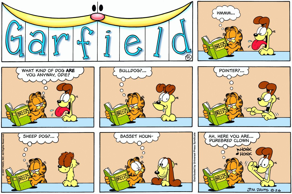 Garfield, August 26, 2007