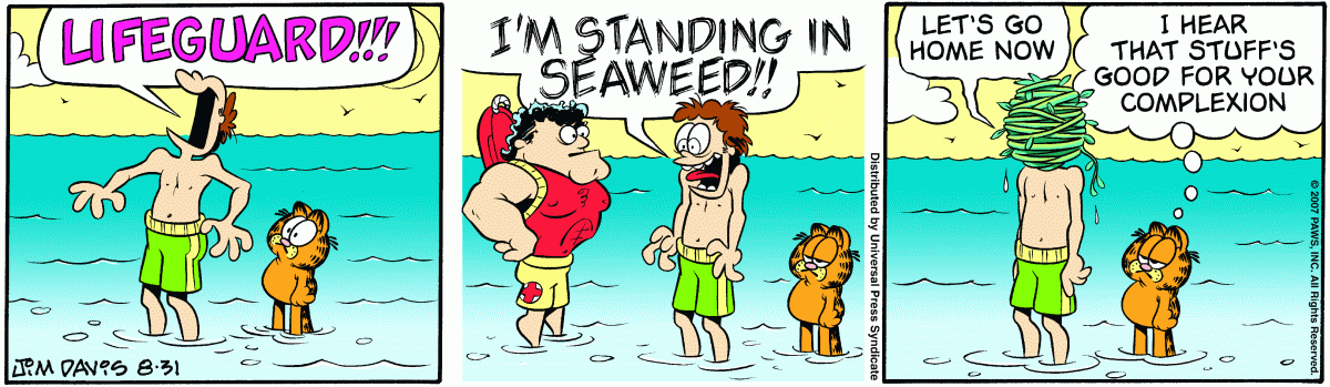 Garfield, August 31, 2007