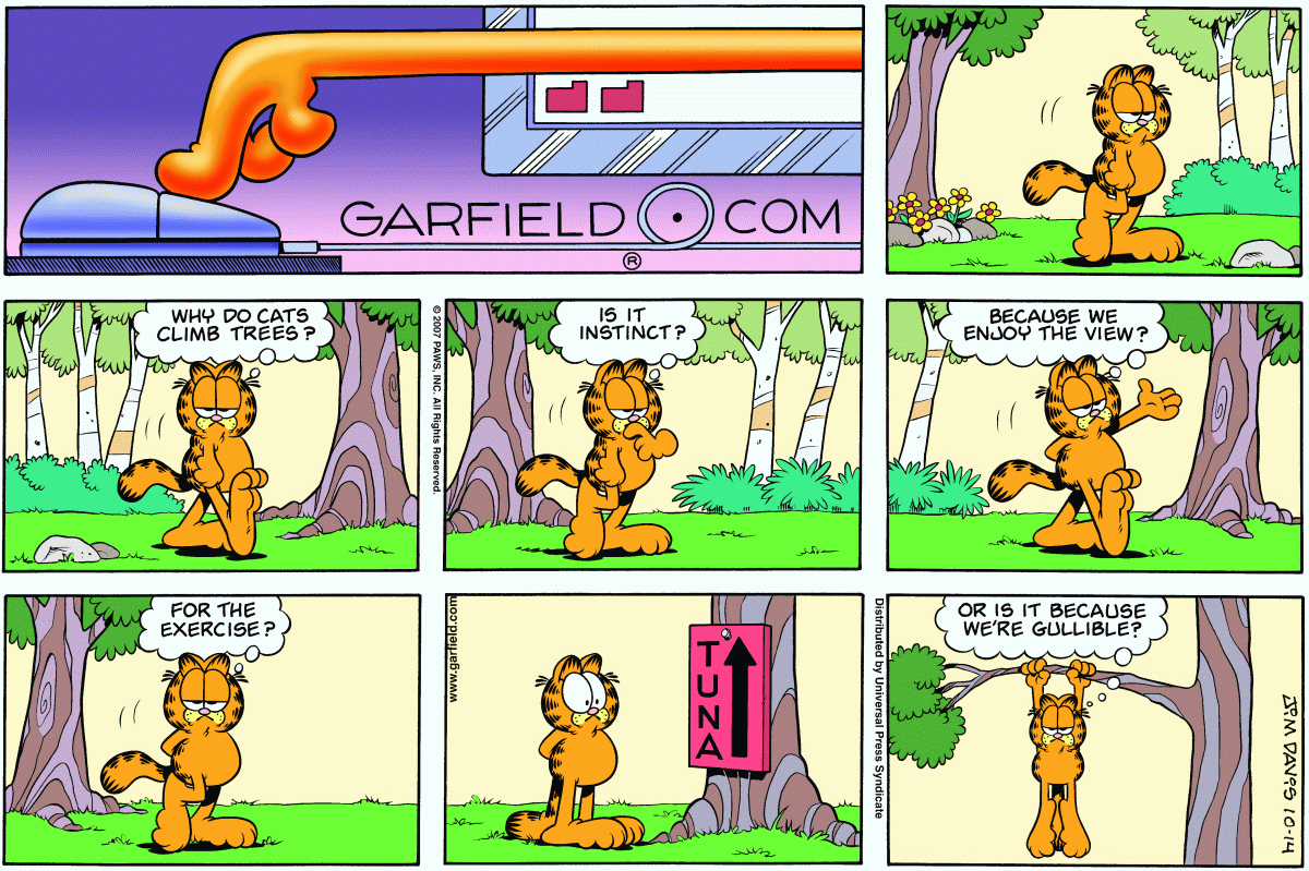 Garfield, October 14, 2007