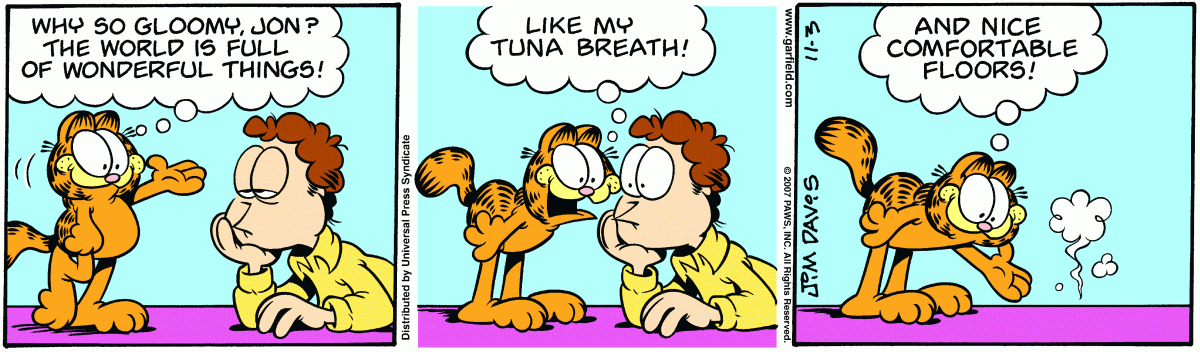 Garfield, November 3, 2007
