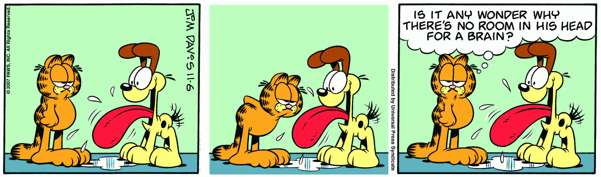 Garfield, November 6, 2007