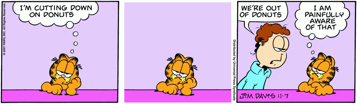 Garfield, November 7, 2007
