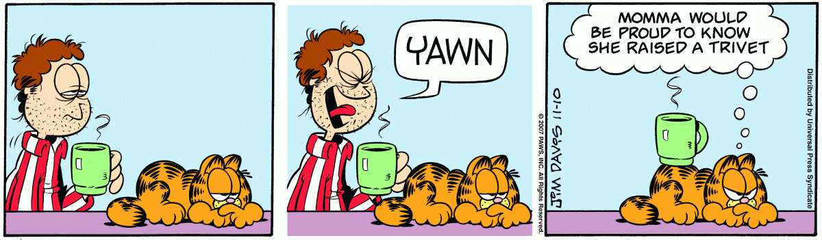 Garfield, November 10, 2007