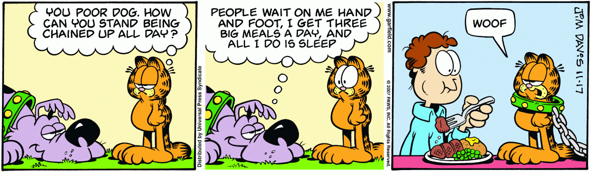 Garfield, November 17, 2007