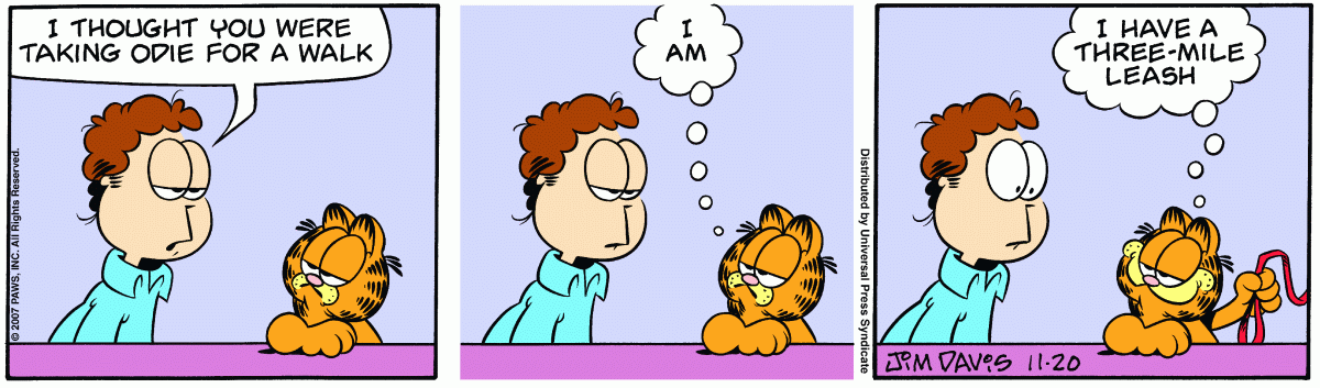 Garfield, November 20, 2007