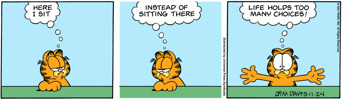 Garfield, November 24, 2007
