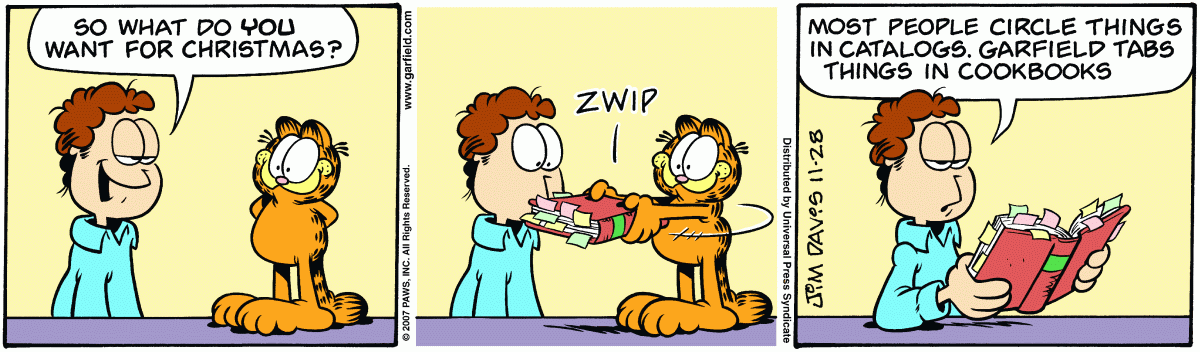 Garfield, November 28, 2007