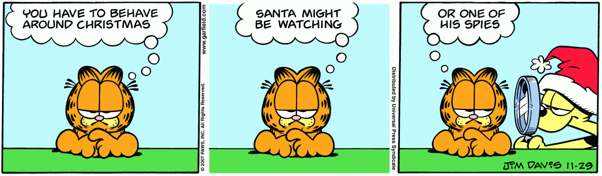 Garfield, November 29, 2007