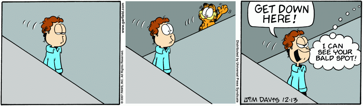 Garfield, December 13, 2007