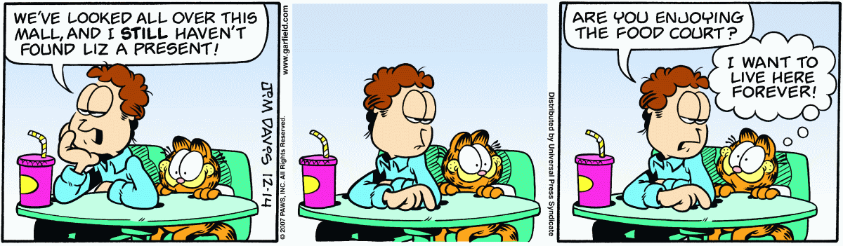 Garfield, December 14, 2007