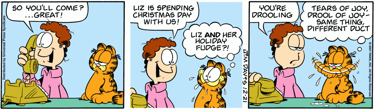 Garfield, December 21, 2007