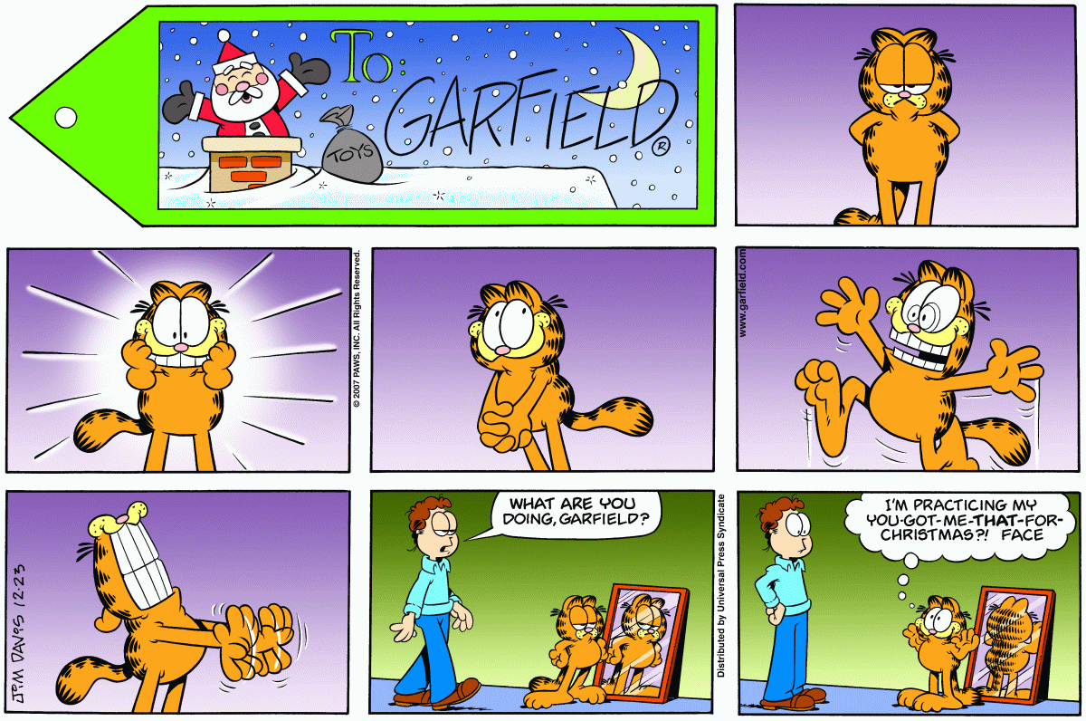 Garfield, December 23, 2007
