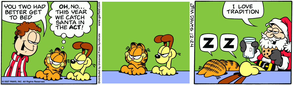 Garfield, December 24, 2007