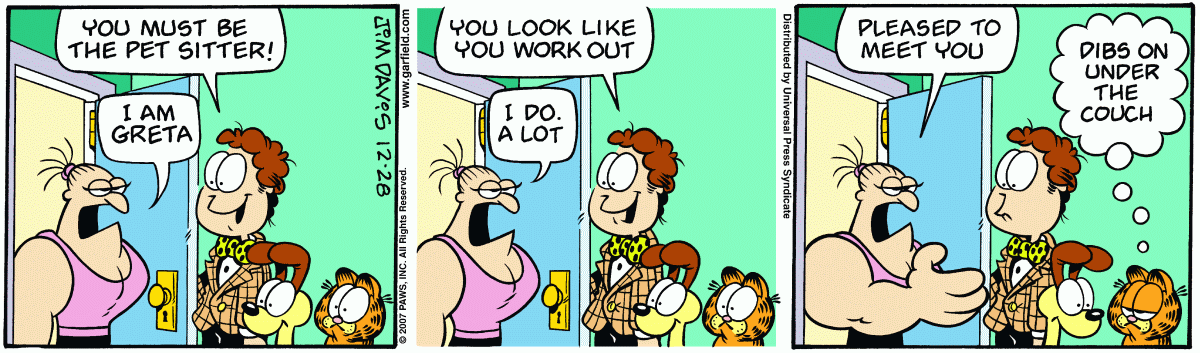 Garfield, December 28, 2007
