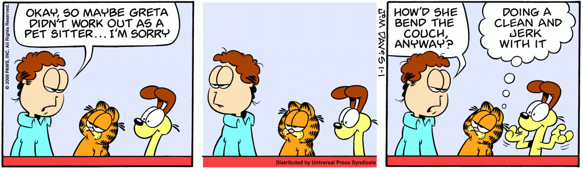 Garfield, January 1, 2008