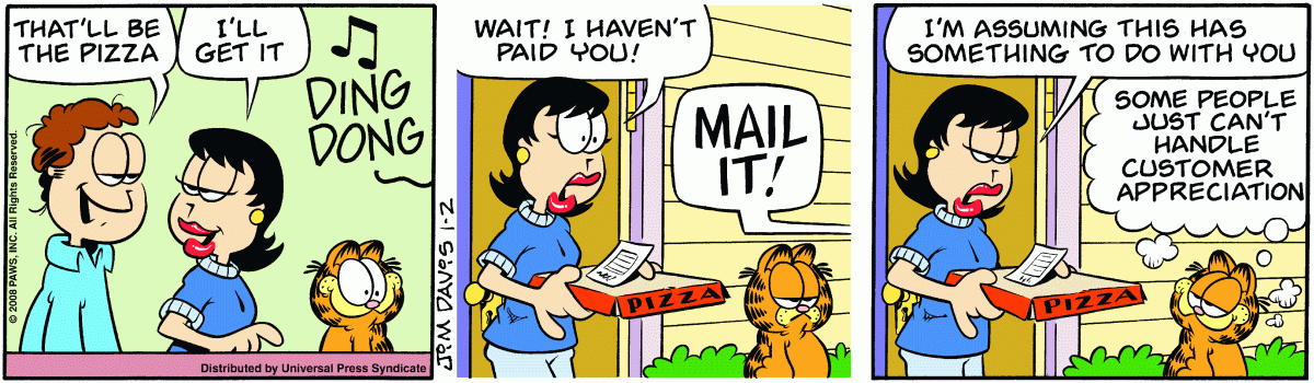 Garfield, January 2, 2008