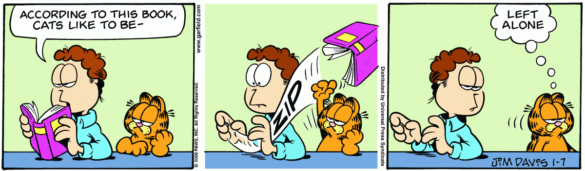 Garfield, January 7, 2008