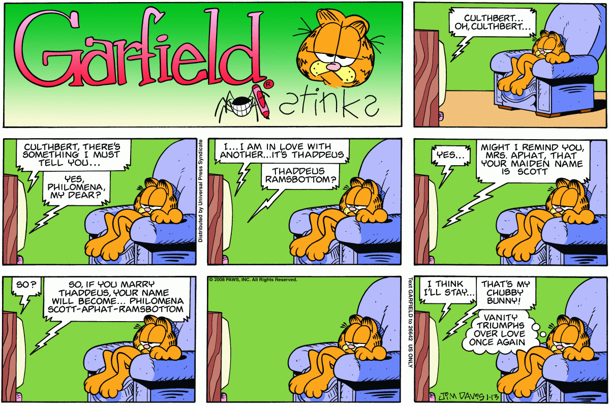 Garfield, January 13, 2008