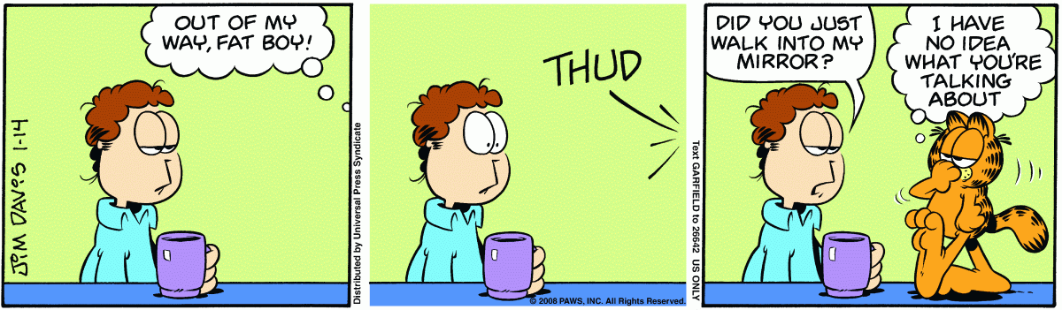 Garfield, January 14, 2008