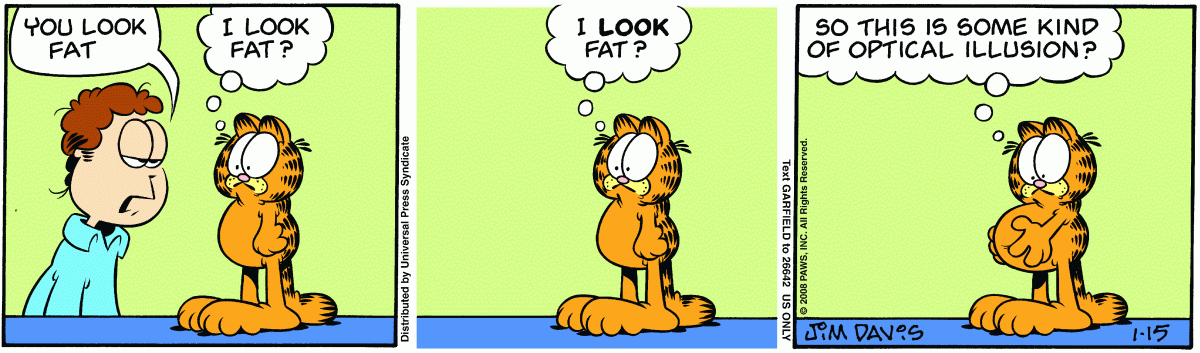 Garfield, January 15, 2008