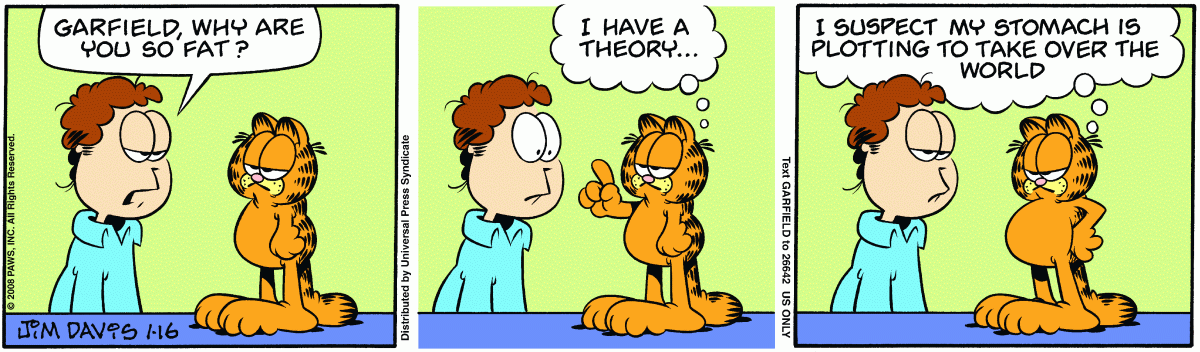 Garfield, January 16, 2008