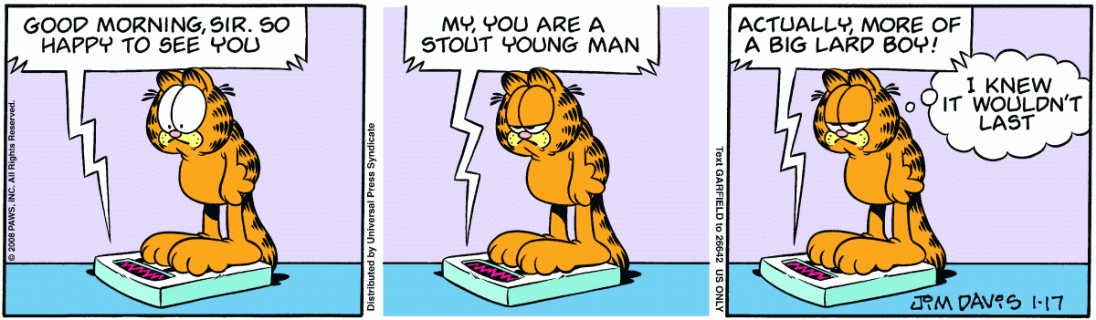 Garfield, January 17, 2008