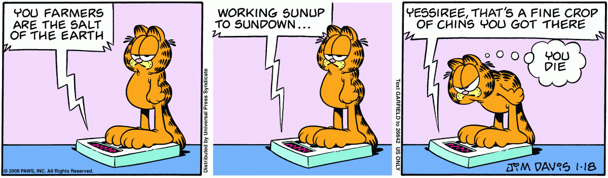 Garfield, January 18, 2008