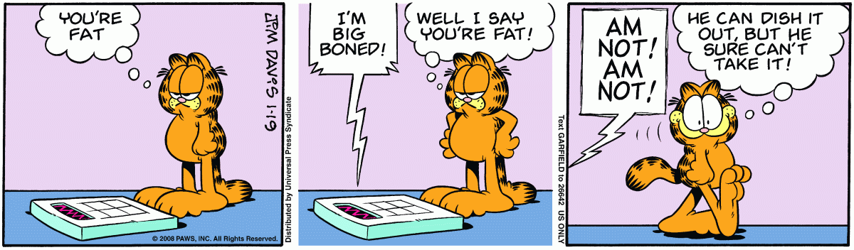 Garfield, January 19, 2008