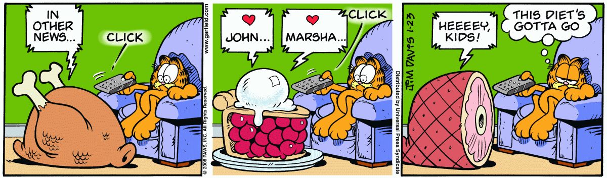 Garfield, January 23, 2008