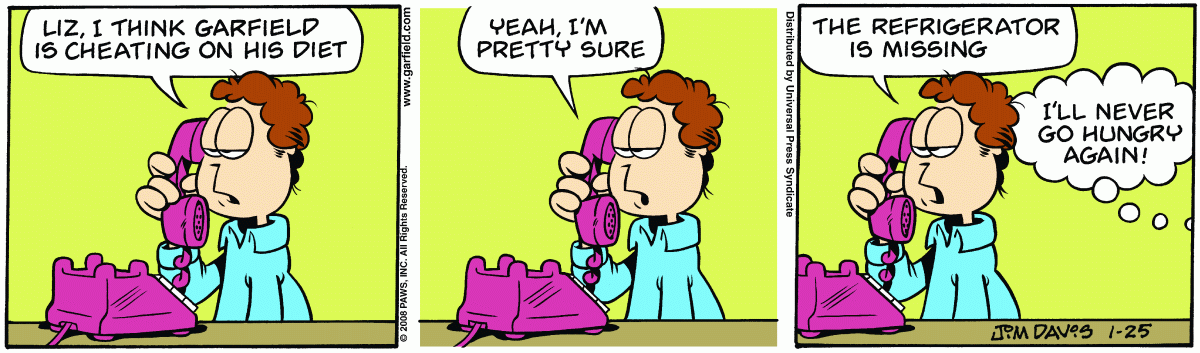 Garfield, January 25, 2008