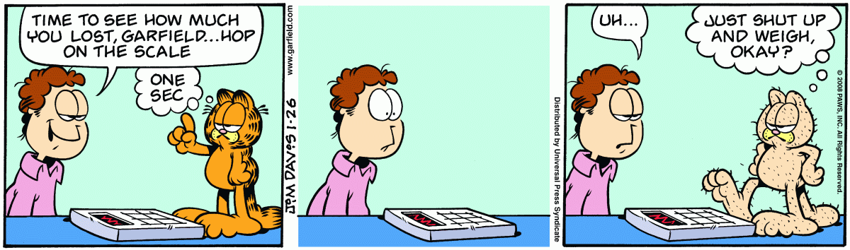 Garfield, January 26, 2008