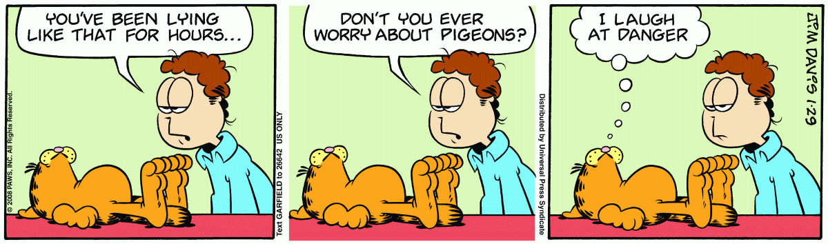 Garfield, January 29, 2008