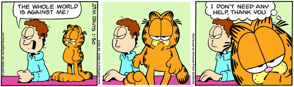 Garfield, January 30, 2008