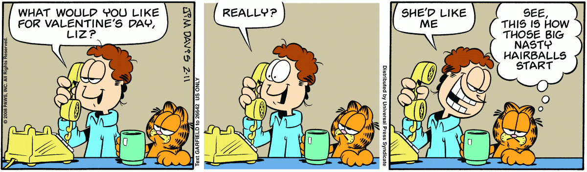 Garfield, February 11, 2008