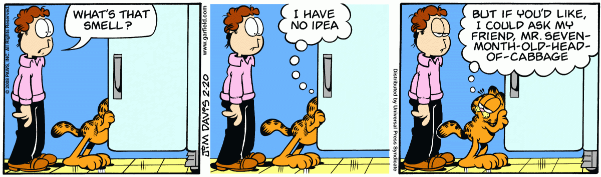 Garfield, February 20, 2008