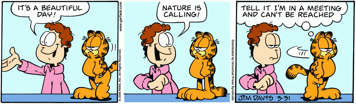 Garfield, March 31, 2008