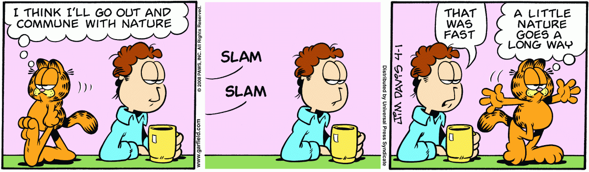 Garfield, April 1, 2008