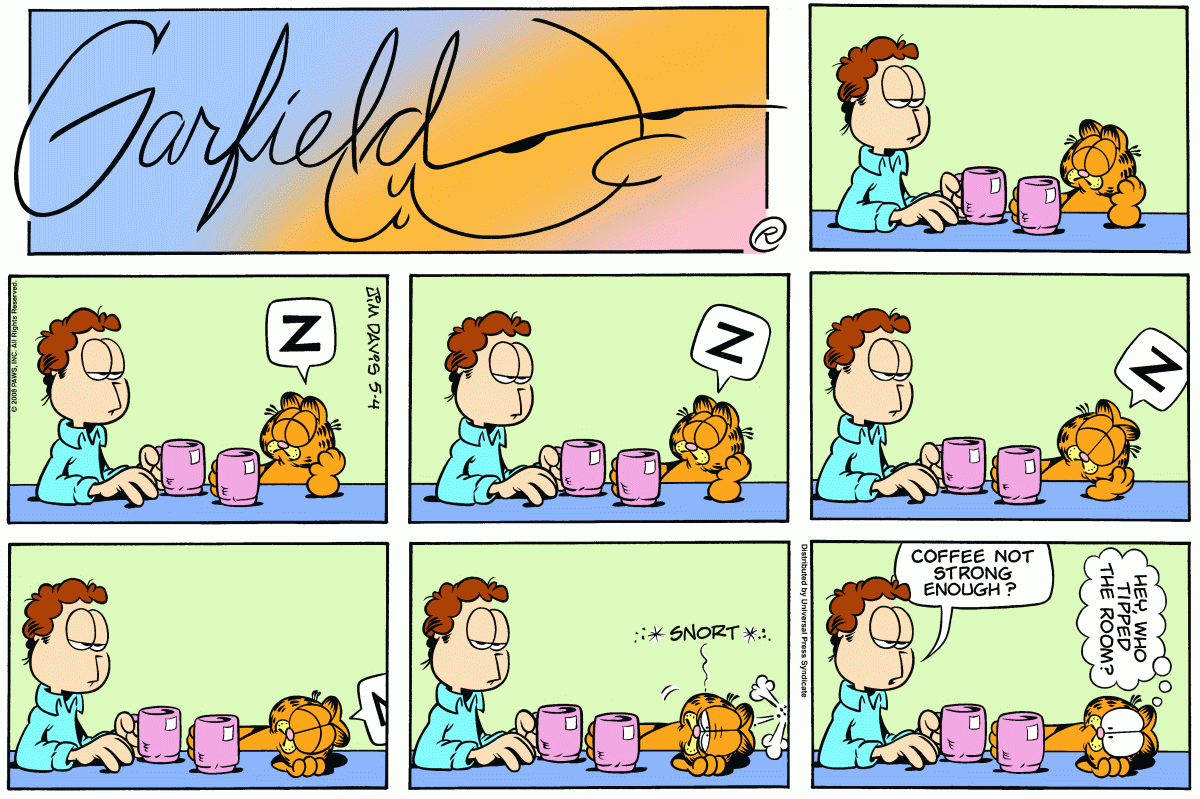Garfield, May 4, 2008