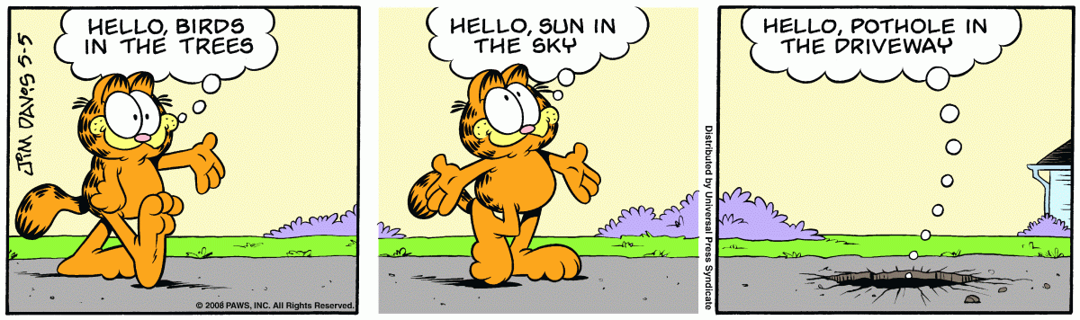 Garfield, May 5, 2008