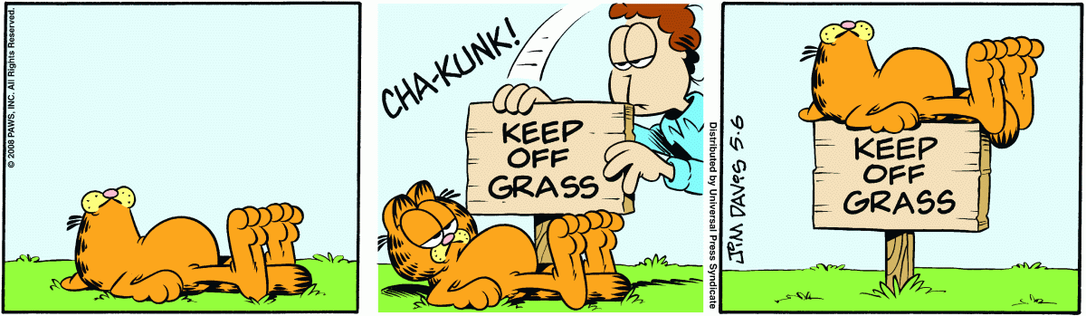 Garfield, May 6, 2008