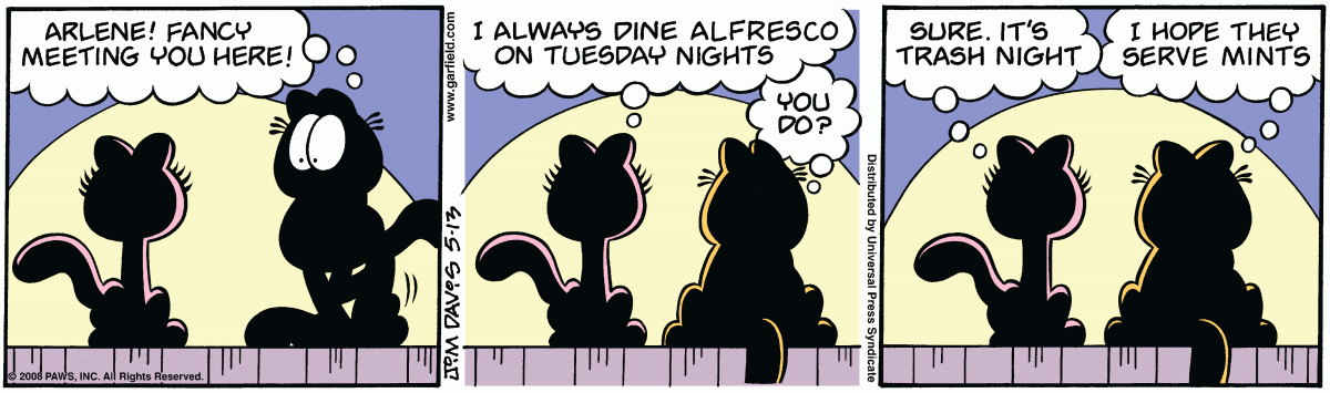 Garfield, May 13, 2008