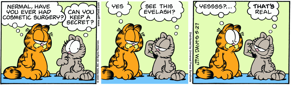 Garfield, May 27, 2008