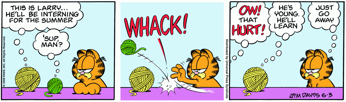 Garfield, June 3, 2008