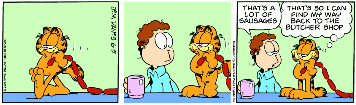 Garfield, June 5, 2008