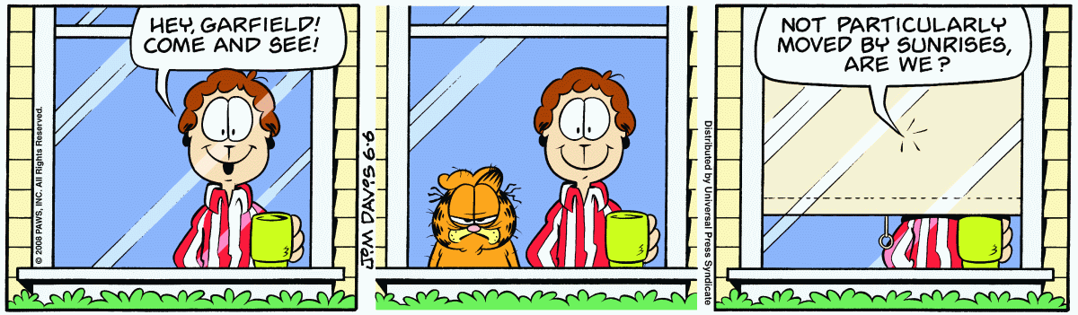Garfield, June 6, 2008