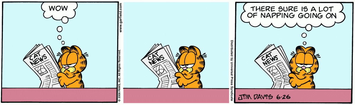 Garfield, June 26, 2008