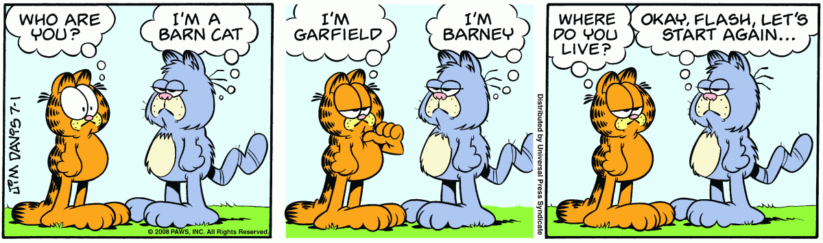 Garfield, July 1, 2008